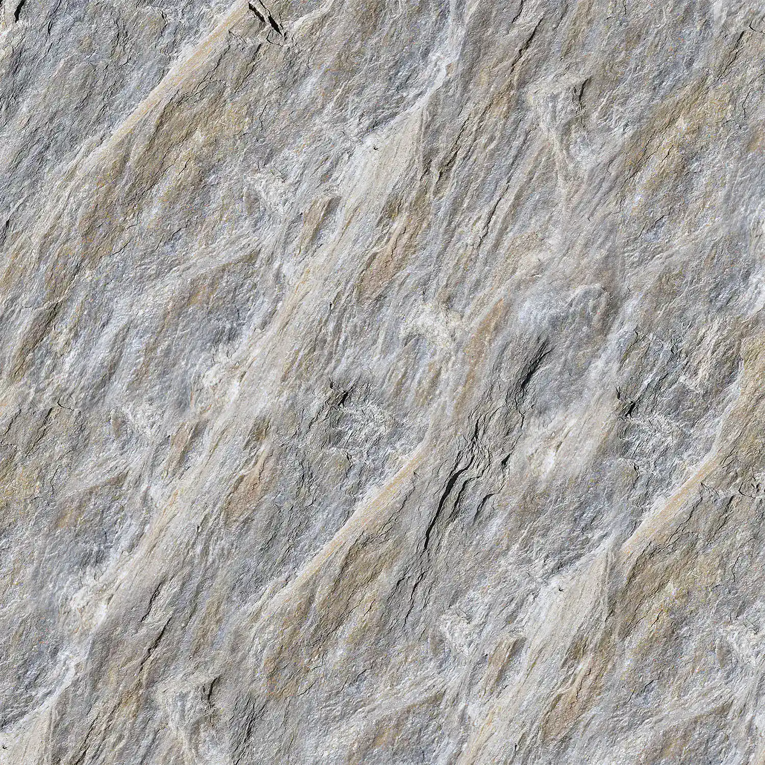 Szőlőszemek közelről