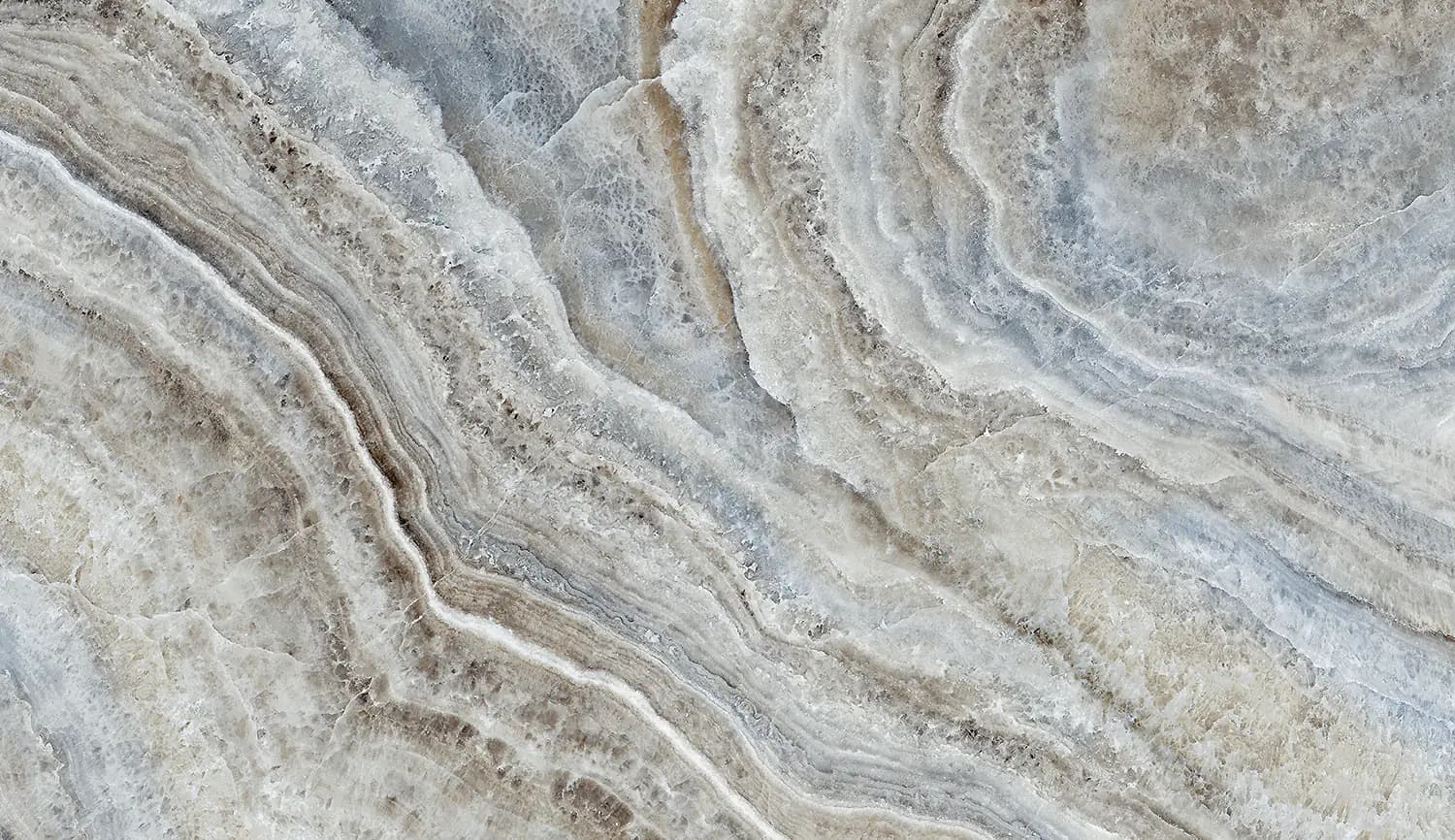 Szőlőültetvény a hajnali fényben